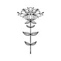 Symmetrical flower in ethnic style. Summer, spting decorative element for cards, poster, scrapbook, textile design