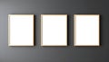 Symmetrical gallery wall mockup with three blank frames on dark minimalist wall Royalty Free Stock Photo