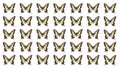 Symmetrical geometric pattern of swallowtail butterflies. colorful swallowtail butterflies isolated on white