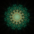 Symmetrical Gold Green fractal flower, digital artwork for graphic
