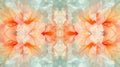 Symmetrical, kaleidoscopic pattern of abstract floral shapes