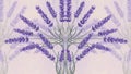 Symmetrical Lavender Flower Pattern id7760 stock Royalty Free Stock Photo