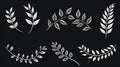 Symmetrical Leaf Illustrations: Bold, Graceful, And Emphasizing Negative Space Royalty Free Stock Photo