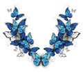 Symmetrical pattern of butterflies morpho