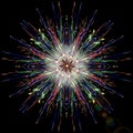 Symmetrical pattern resembling a firework burst against a black Royalty Free Stock Photo