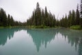 Symmetrical picture of the trees reflected on the surface of Emerald lake. Royalty Free Stock Photo