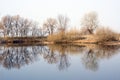 Symmetrical reflection of trees in the water in early spring Royalty Free Stock Photo