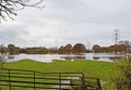 Symmetrical reflections in Fish Lake Farmland flooding; Doncaster, November, 2019;