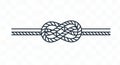 Symmetrical rope illustration featuring a Carrick bend knot. The design uses two Royalty Free Stock Photo