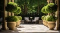 A symmetrical row of potted green plants on a sunny outdoor patio