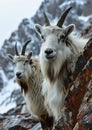 Symmetrical Serenity: A Trio of Gallant Goats in the Blue Steel