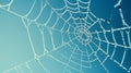Symmetrical spider web with glistening dew against blue sky Royalty Free Stock Photo