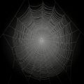 A symmetrical spider web is shown against a dark background. The web consists of concentric circles Royalty Free Stock Photo