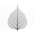 A symmetrical stylized leaf illustration with intricate vein patterns Royalty Free Stock Photo