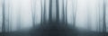 Symmetrical surreal forest with fog Royalty Free Stock Photo