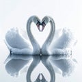 Symmetrical Swans Forming Heart Shape on Calm Water in Soft Light Royalty Free Stock Photo