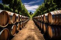 Symmetrical view of wine barrels in vineyard Royalty Free Stock Photo