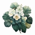 Symmetrical Watercolor Painting Of White Flowers With Nostalgic Chinese Iconography