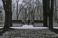 Symmetry in the autumn park