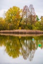 Colorful autumn trees symmetrical reflected in lake