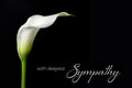 Sympathy card with white calla isolated on black Royalty Free Stock Photo