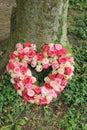 Sympathy flowers near a tree Royalty Free Stock Photo