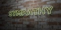 SYMPATHY - Glowing Neon Sign on stonework wall - 3D rendered royalty free stock illustration