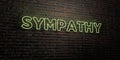 SYMPATHY -Realistic Neon Sign on Brick Wall background - 3D rendered royalty free stock image