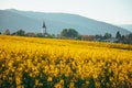 A Symphony of Colors: Yellow Fields Embrace the Village Church in Spring Rural Agricultural Landscape