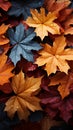 A symphony of falling maple leaves creates a vivid, seasonal background