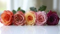 Symphony of Multicolored Roses Adorning a Table