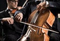 Symphony orchestra performance: celloist close-up Royalty Free Stock Photo