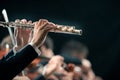 Symphony orchestra performance: flutist close-up Royalty Free Stock Photo