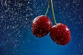 Glistening Cherry Berries: A Close-Up Splash