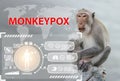 Symptom monkeypox cell with wild monkey animal MPXV virus