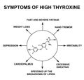 Symptoms of high thyroxine. Thyroxine thyroid hormone. Infographics. Vector illustration on isolated background.