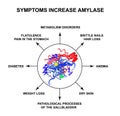 Symptoms of increased amylase. The enzyme amylase. Infographics. Vector illustration on isolated background. Royalty Free Stock Photo