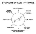 Symptoms of low thyroxine. Thyroxine thyroid hormone. Infographics. Vector illustration on isolated background.