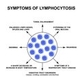 Symptoms of Lymphocytosis. The increase in lymphocytes in the blood. Cell killers. Immunity Helper Cells. Infographics