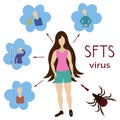 Symptoms of SFTS virus. Transmission of the virus to humans through the bite of an insect tick. Vector illustration. Isolated.