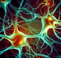 Synapses and Neurons Royalty Free Stock Photo