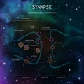 Synaptic cleft structure. Axons, dendrites synaptic terminals and neurotransmitters. Neuroscience infographic on space background