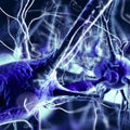 Synaptic transmission is the process by which one neuron communicates with another Royalty Free Stock Photo
