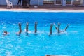 Synchronised swimming. Beautiful lean female legs in the water of a swimming pool. Concept of beauty, artistry Royalty Free Stock Photo