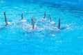 Synchronised swimming. Beautiful lean female legs in the water of a swimming pool. Concept of beauty, artistry Royalty Free Stock Photo