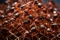 The synchronized efforts of ants as they build intricate nest structures in their colony