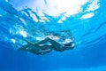 Synchronized Girls Underwater Photo