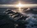 Synchronized Swim: Playful Dolphins in the Open Ocean