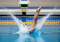 Includes a diving platform, hinting at a professional competition Royalty Free Stock Photo