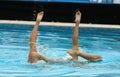 Synchronized Swimmers Royalty Free Stock Photo